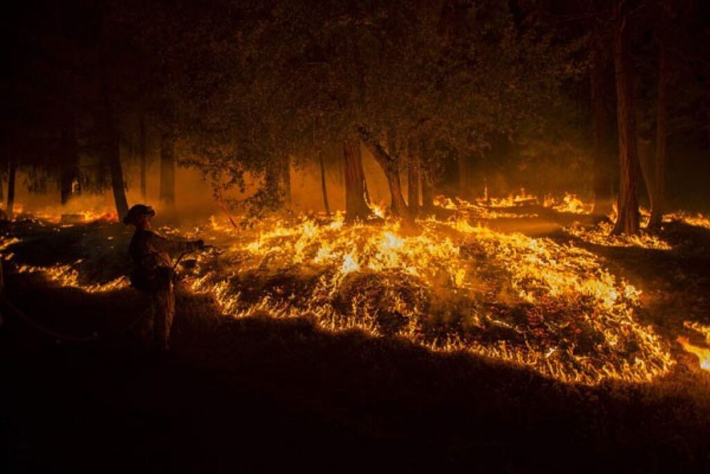 Korban Tewas Bertambah Akibat Kebakaran Hutan Dahsyat di California