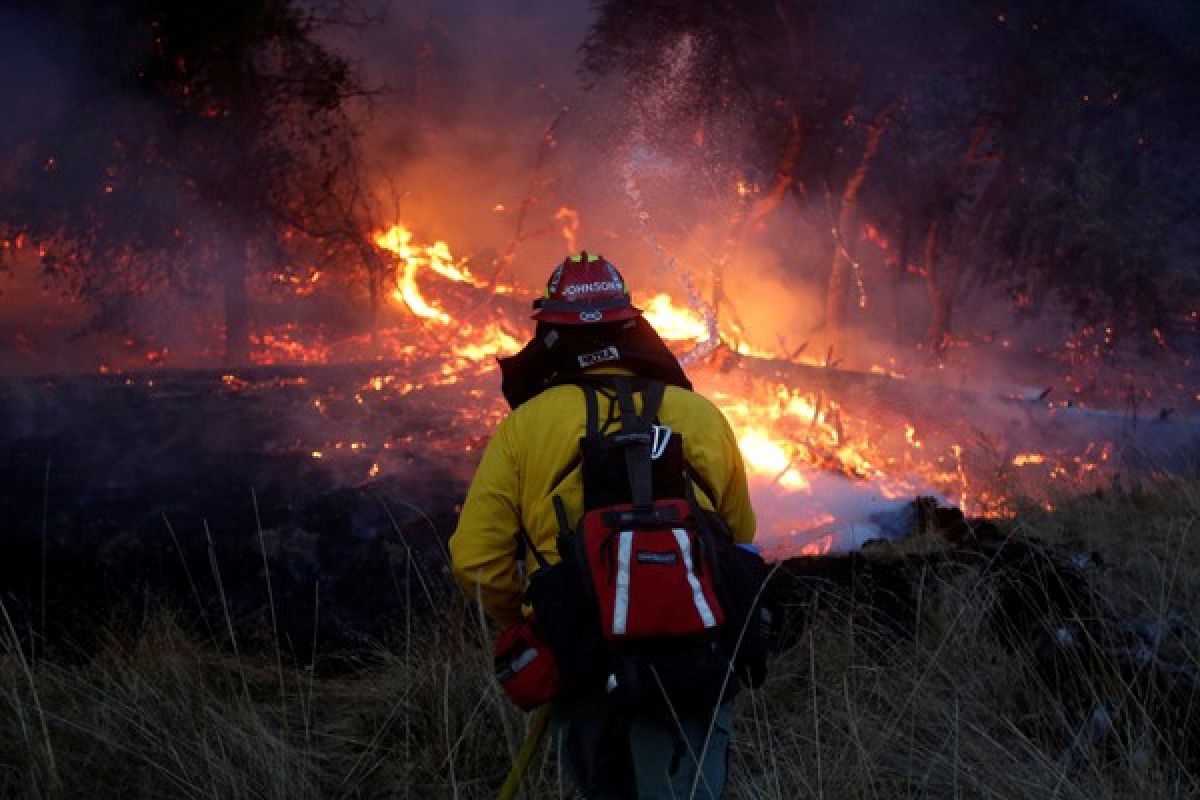 Korban Tewas Bertambah Akibat Kebakaran Hutan Dahsyat di California