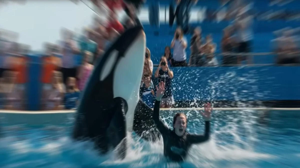 Hoaks Viral: Kisah Jessica Radcliffe Tewas Diserang Paus Orca Ternyata Rekayasa AI