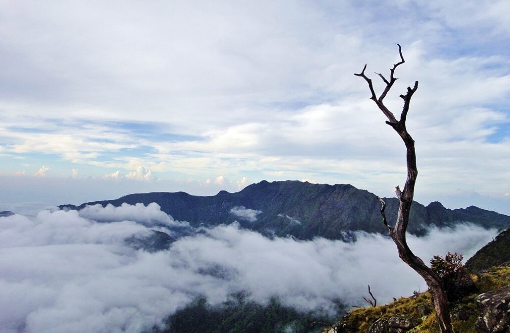 Gunung Bawakaraeng Dipadati 4.068 Pendaki HUT RI, Sebagian Alami Hipotermia
