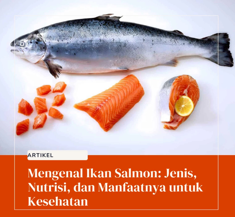 Konsumsi Ikan Salmon